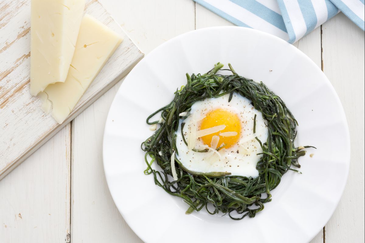 Ninhos de agretti