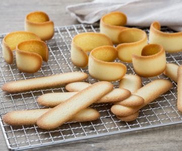 Línguas de gato