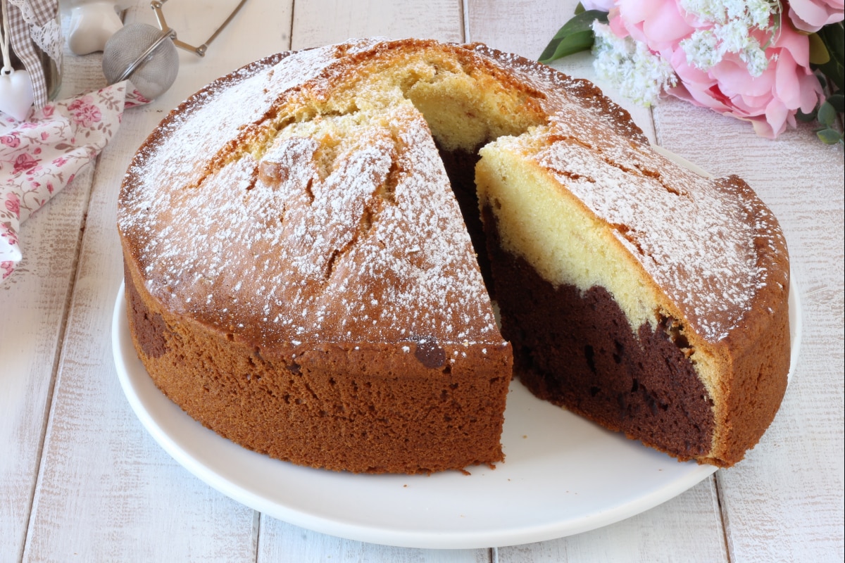 Bolo bicolor