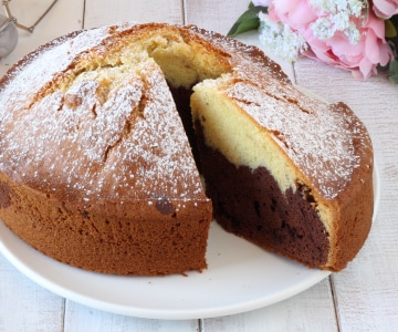 Bolo bicolor