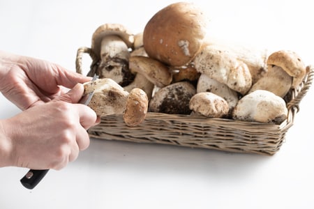 Como limpar os cogumelos porcini