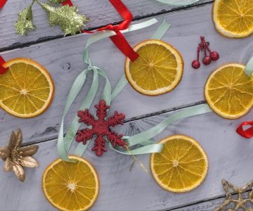 Fatias de laranja desidratadas