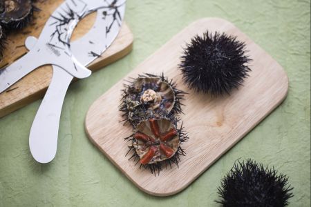 Como limpar ouriços-do-mar