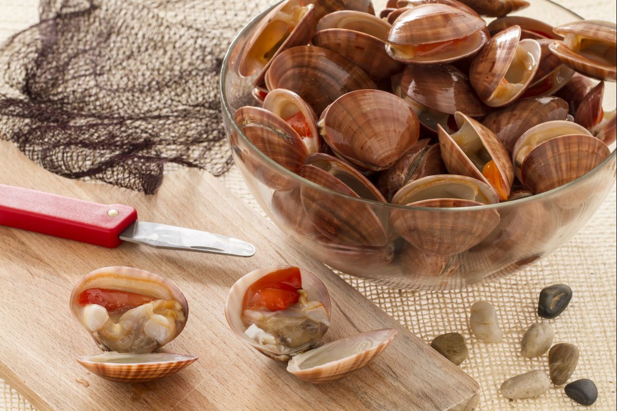 Como limpar os fasolari