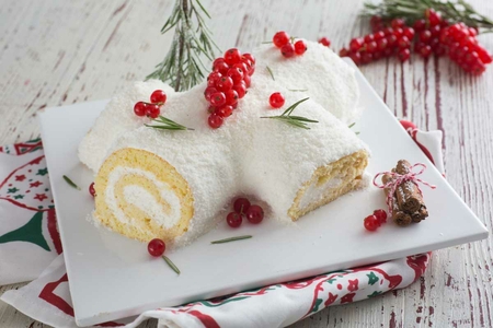 Tronco de Natal Nevado