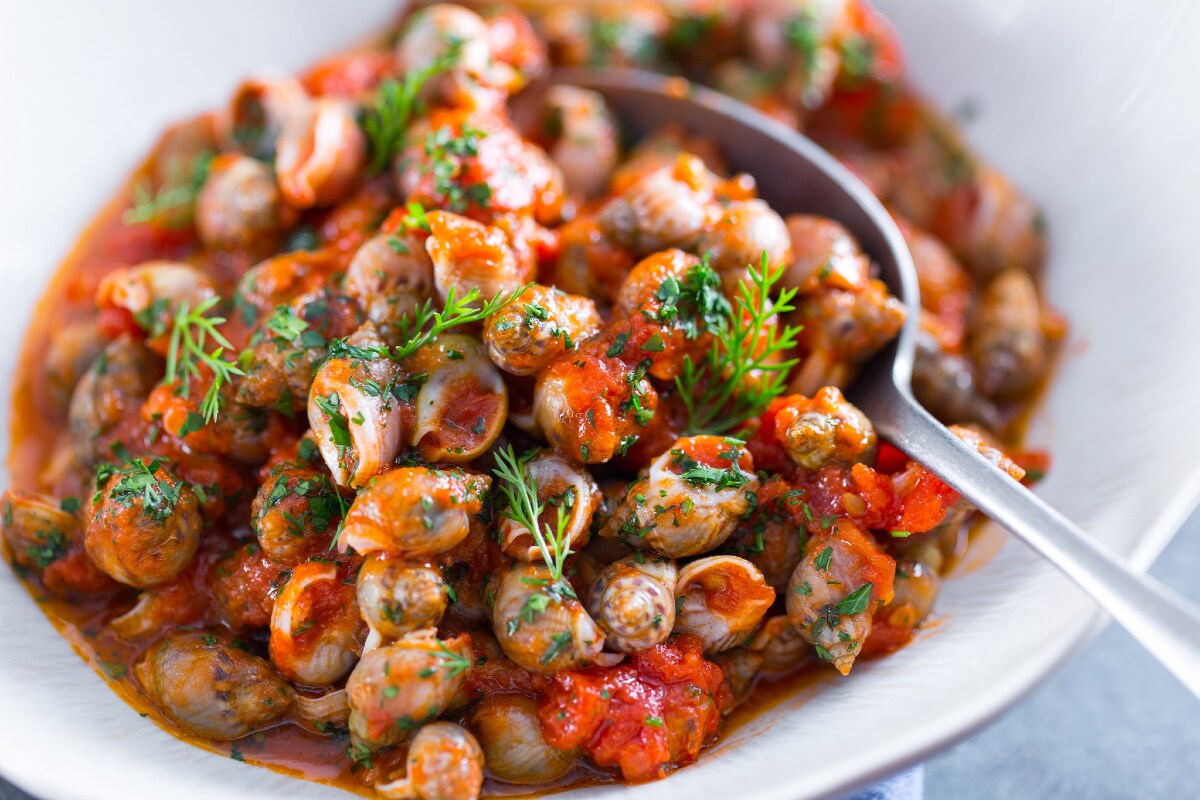 Caracóis do mar ensopados