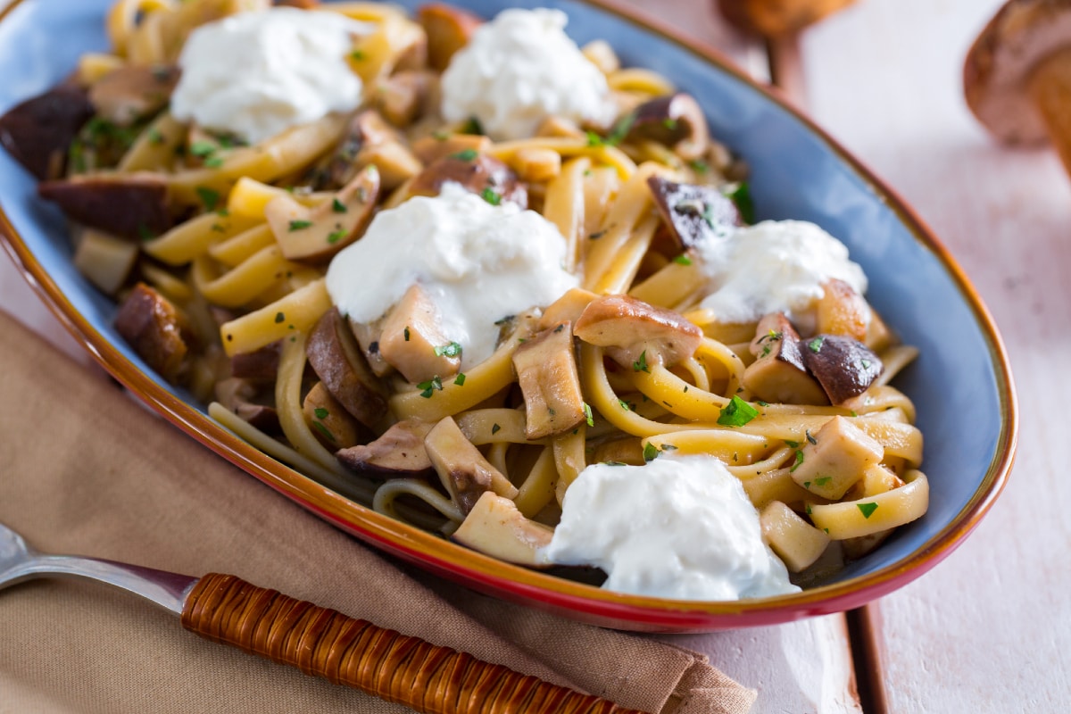 Fettuccine com cogumelos e burrata