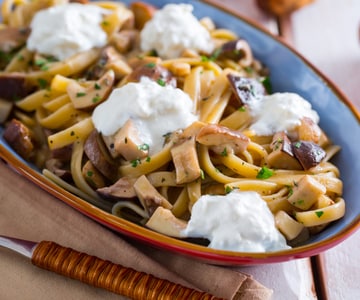 Fettuccine com cogumelos e burrata