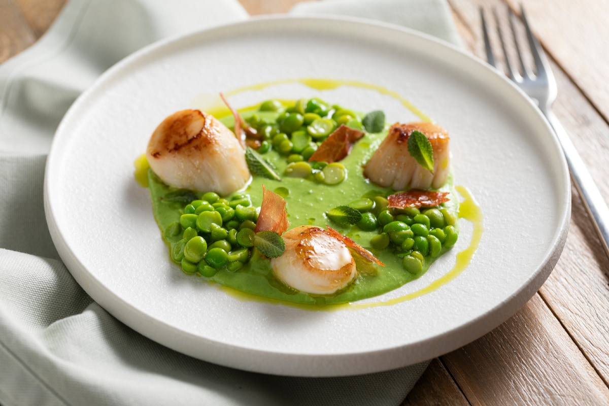 Vieiras grelhadas com creme de ervilhas