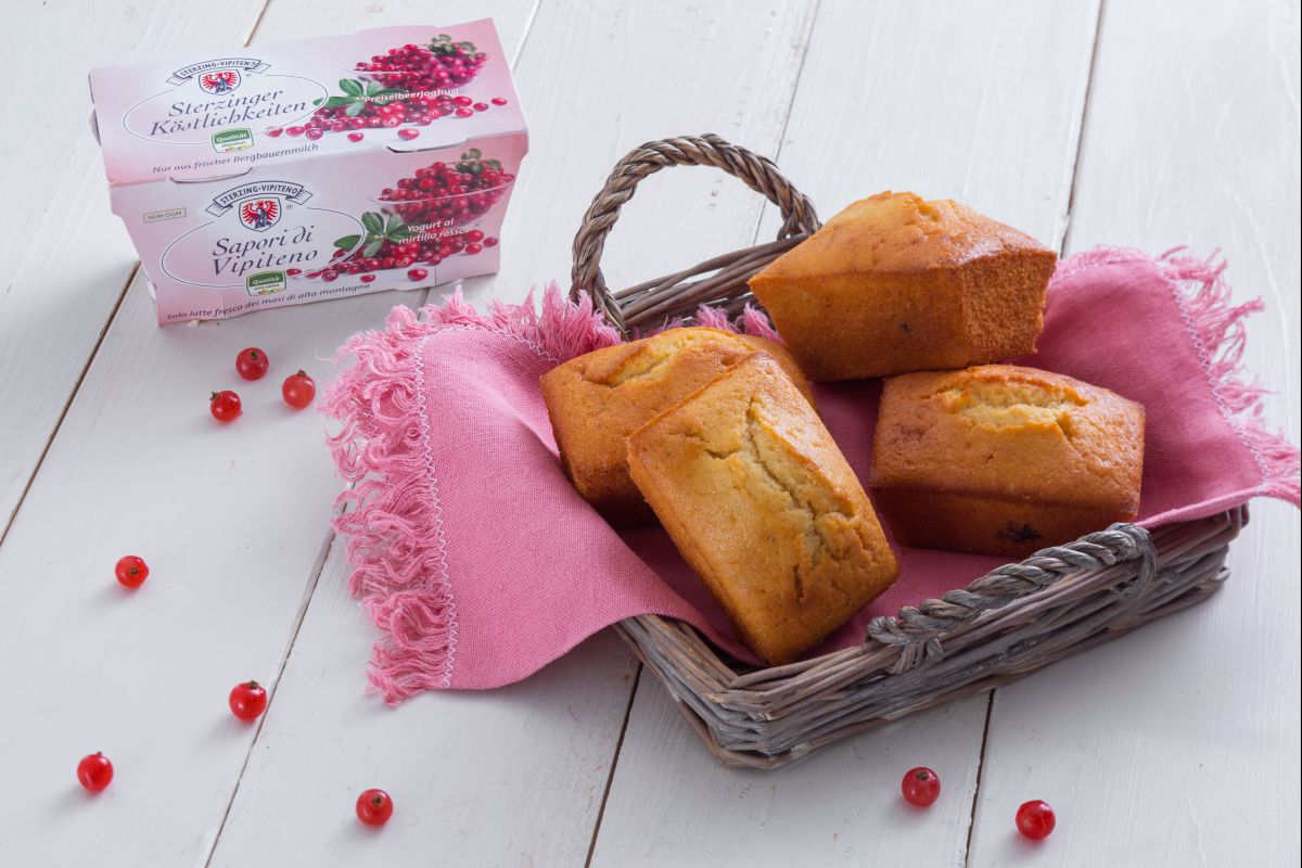 Mini bolo de iogurte e cranberries