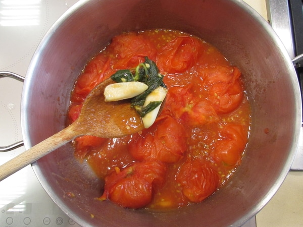 Pasta alla Norma - step 2